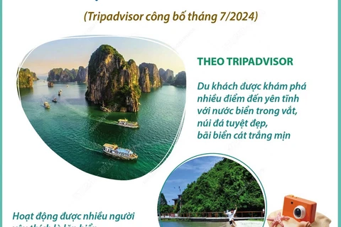 Du lịch trên thuyền ở Hạ Long: Top 25 trải nghiệm thú vị nhất thế giới 2024