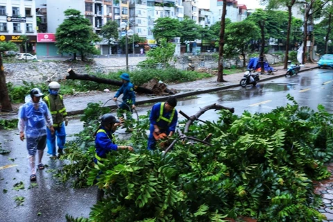 Lực lượng chức năng quận Thanh Xuân xử lý, dọn dẹp cây đổ trên phố Vũ Tông Phan. (Ảnh: Tuấn Anh/TTXVN)