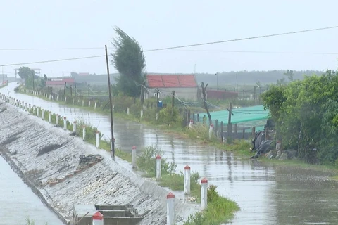 Vùng biển huyện Kim Sơn, sóng biển cao 2-3m, sau tăng lên 3-5m, biển động rất mạnh. (Ảnh: Hải Yến/TTXVN.)