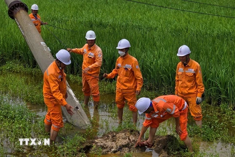 Phỏng vấn đại diện Điện lực Đông Triều, tỉnh Quảng Ninh, về công tác khắc phục sự cố điện sau bão số 3. (Ảnh: Lê Phương/TTXVN)