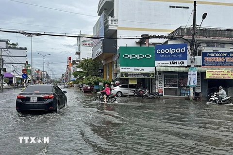 Ngành chức năng tỉnh Cà Mau cảnh báo cấp độ rủi ro thiên tai do ngập lụt ở cấp độ 2. (Ảnh: Huỳnh Anh/TTXVN)