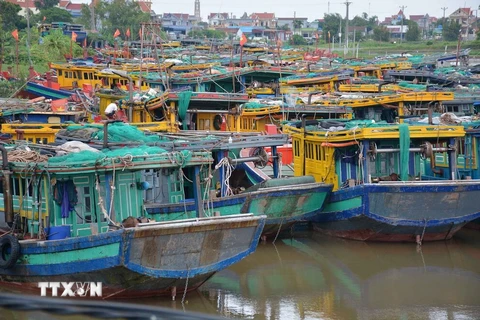 Tàu thuyền neo đậu trên bến cá xã Giao Hải, huyện Giao Thủy, tỉnh Nam Định. (Ảnh: Công Luật/TTXVN)