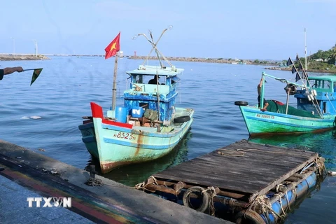 Cán bộ Trạm Biên phòng cửa khẩu cảng Dương Đông, Bộ đội Biên phòng Kiên Giang, thực hiện nhiệm vụ kiểm tra tàu cá ra vào cửa sông Dương Đông, thành phố Phú Quốc. (Ảnh: Lê Huy Hải/TTXVN)