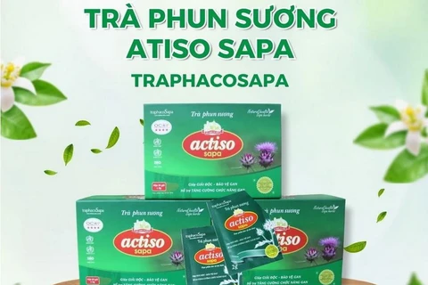 Trà Phun Sương Atiso Sapa. (Nguồn: traphacosapa)