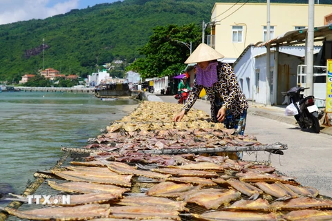 Người dân xã đảo Lại Sơn, huyện Kiên Hải, tỉnh Kiên Giang phơi cá khô. (Ảnh: Văn Sĩ/TTXVN)