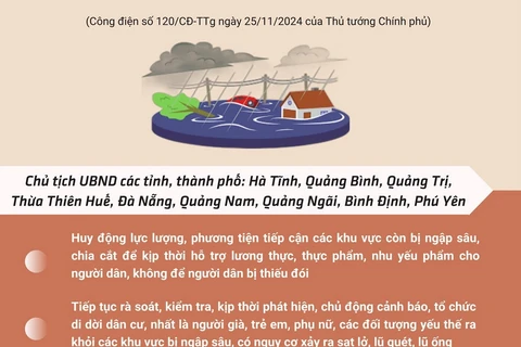 Thủ tướng: Chủ động ứng phó, khắc phục nhanh hậu quả mưa lũ ở Trung Bộ