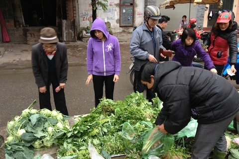 Giá các loại rau, củ, quả giảm nhẹ sau Tết. (Ảnh: Quỳnh Trang/Vietnam+)