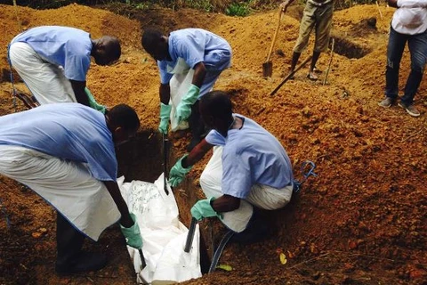Không đưa lao động sang các vùng có khả năng lây dịch Ebola