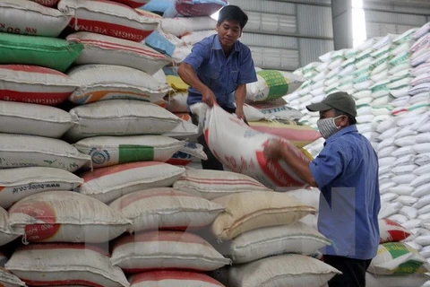 Hỗ trợ cứu đói gần 7.300 tấn gạo cho 12 tỉnh trước Tết Nguyên đán