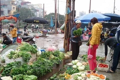 Hà Nội: Giá rau xanh tiếp tục giữ đà tăng, giá thịt cá vẫn ổn định