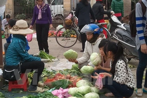 Hà Nội: Nhiều đợt mưa liên tiếp đẩy giá rau xanh tiếp tục tăng cao