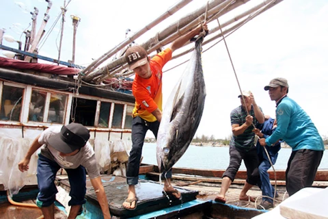 Thái Lan sẽ thí điểm tiếp nhận lao động Việt Nam trong hai nghề đánh cá và xây dựng. (Ảnh; TTXVN)