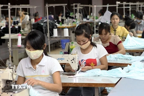 Công nhân dệt may Việt Nam. (Ảnh chỉ mang tính minh họa: TTXVN)