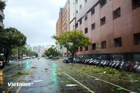 Biển quảng cáo bị xé rách hoàn toàn bởi bão Megi. (Ảnh: CTV/Vietnam+)