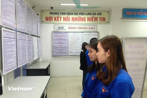 Thanh niên đến tìm việc tại Trung tâm Dịch vụ việc làm Hà Nội.(Ảnh: PV/Vietnam+)