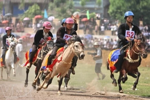 Chính phủ đã cho phép kinh doanh đặt cược đua ngựa, đua chó và thí điểm đặt cược bóng đá quốc tế. (Ảnh minh họa: TTXVN)