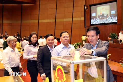 Các đại biểu Quốc hội bỏ phiếu kín bầu Chủ tịch nước. (Ảnh: PV/Vietnam+)