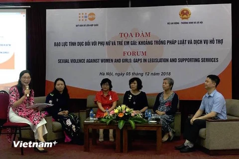 Các chuyên gia cho ý kiến về khoảng trống pháp lý trong xử lý các hành vi bạo lực tình dục. (Ảnh: PV/Vietnam+)