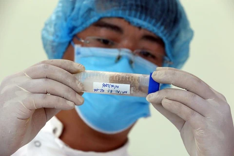 Trung tâm Giám định ADN sẽ có năng lực phân tích 4.000 mẫu hài cốt liệt sỹ mỗi năm. (Ảnh: PV/Vietnam+)