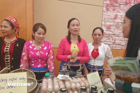 Giới thiệu sản phẩm nông sản sạch của phụ nữ dân tộc thiểu số. (Ảnh: PV/Vietnam+)