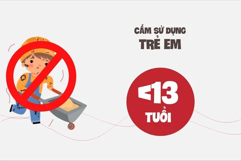 Luật pháp quy định cấm sử dụng trẻ em dưới 13 tuổi để làm việc. (Ảnh: PV/Vietnam+)