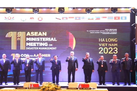 Các Bộ trưởng, Thứ trưởng đại diện các nước ASEAN tham dự Hội nghị AMMDM 11. (Ảnh: Vietnam+)