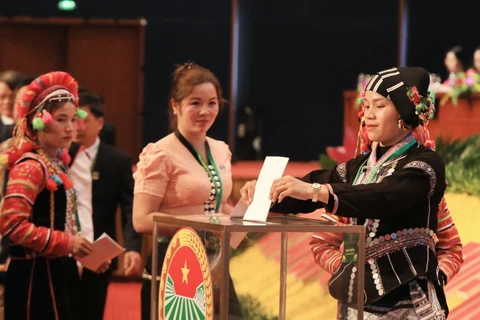 Các đại biểu bỏ phiếu bầu Ban chấp hành Hội Nông dân Việt Nam khoá VIII. (Ảnh: Tuấn Anh/Vietnam+)