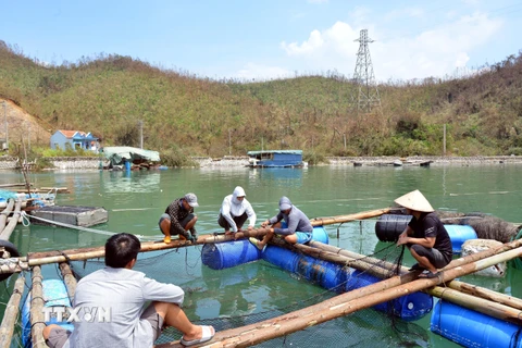 Ngư dân đan lại lưới, sửa bè để chờ có con giống thả lại. (Ảnh: Thanh Vân/ TTXVN)