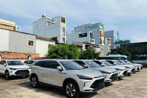 Xe hơi Trung Quốc đang tạo 'cơn sốt' tại thị trường Việt Nam. (Ảnh: PV/Vietnam+)