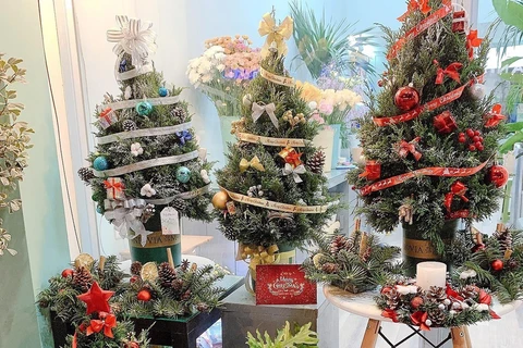 Cây tùng thơm tươi được nhiều khách hàng mua trang trí trong dịp Noel năm nay. (Ảnh: PV/Vietnam+)