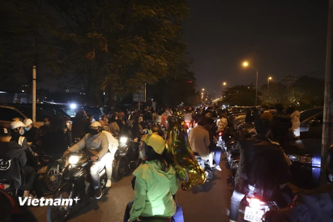 Người dân Thủ đô đổ về công viên Thống Nhất xem pháo hoa đêm giao thừa