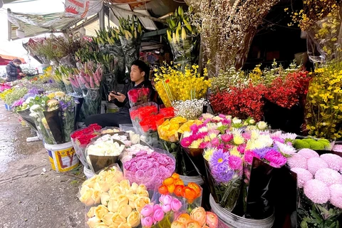 Chợ hoa Quảng An vắng khách trước ngày Lễ 8/3. (Ảnh: Minh Hiếu/Vietnam+)