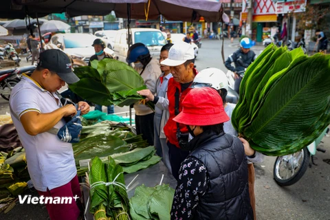 Chợ lá dong lâu đời bậc nhất Thủ đô nhộn nhịp những ngày cận Tết Nguyên đán