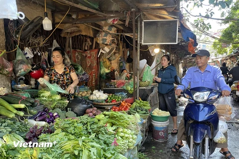 Giá các mặt hàng rau xanh, thịt lợn rục rịch tăng. (Ảnh minh hoạ: PV/Vietnam+)