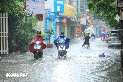 Lái xe máy trong thời tiết mưa lớn, ngập lụt tiềm ẩn nhiều nguy hiểm, rủi ro với các tài xế. (Ảnh minh họa: PV/Vietnam+)