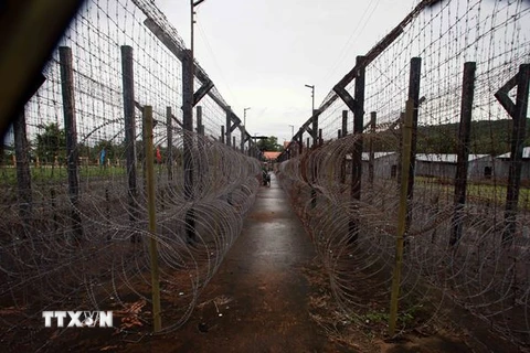 Hàng rào dây thép gai nhiều lớp ở những khu trại giam trong nhà tù Phú Quốc. (Ảnh chỉ mang tính chất minh họa. Nguồn: TTXVN)