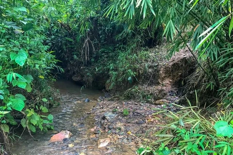 Nhiều lớp bùn cặn bám đầy xung quanh bờ suối Khai (Hòa Bình). (Ảnh: Vietnam+)