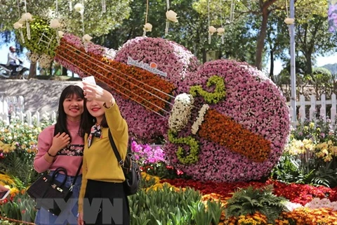 Hiện nay, Lâm Đồng đang gấp rút chuẩn bị cho Festival hoa Đà Lạt 2019. (Ảnh minh họa: TTXVN)