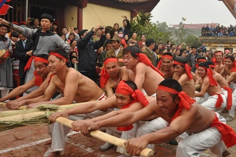 Các trai làng Hữu Chấp trong lễ hội kéo co. (Ảnh: CTV)