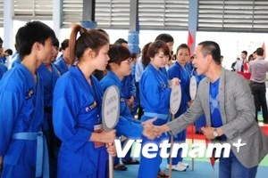 Thí sinh tham gia giải đấu Giải Vô địch Vovinam Đại học FPT mở rộng năm 2013. (Ảnh: CTV/Vietnam+)