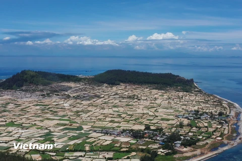 Đảo Lý Sơn là một trong những điểm du lịch biển tuyệt vời ở dải đất miền Trung, là huyện đảo duy nhất của tỉnh Quảng Ngãi. (Ảnh: Tùng Lâm/Vietnam+)