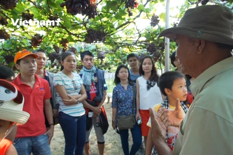 Du khách hào hứng nghe ông Ba Mọi kể chuyện tại vườn (Ảnh: Lâm Phan/Vietnam+)