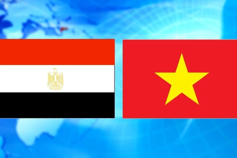 Việt Nam-Ai Cập: Sắt son 58 năm quan hệ bền chặt, vững vàng 