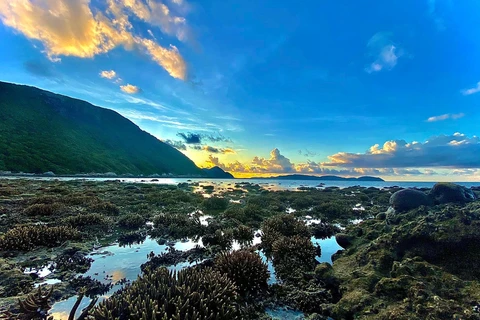 [Video] Khám phá Côn Đảo: Thiên đường du lịch biển vạn người mê 