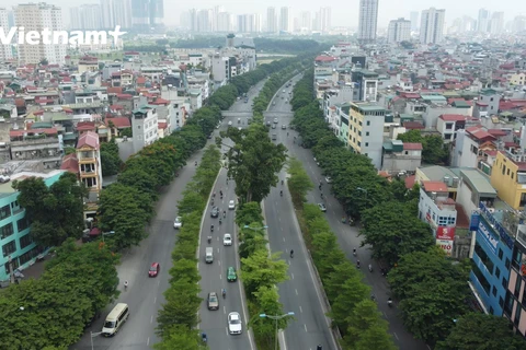 Cây xanh - Điểm nhấn tạo sự thân thiện của Thủ đô trong lòng du khách