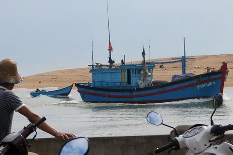 Phú Yên thiếu lao động đi biển, hàng trăm tàu nằm bờ