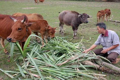 Lâm Đồng phấn đấu giảm tỷ lệ hộ nghèo xuống dưới 1,8%