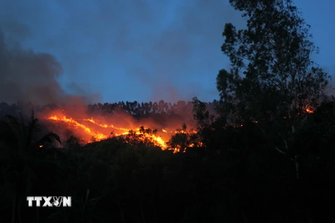 [Photo] Cháy rừng lớn tại Bình Định do... dân đốt vàng mã