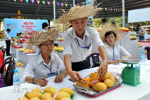 [Photo] Gần 200 loại quả đặc sản tại Lễ hội trái cây Nam Bộ