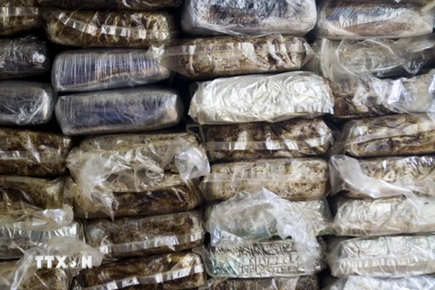 Canada tăng cường ngăn chặn buôn ma túy qua đường hàng không